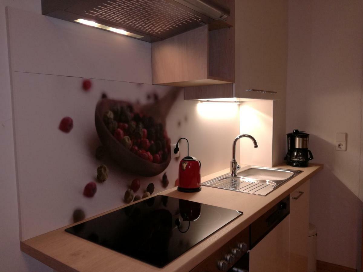 Apartment Steinkellner 特洛普拉赫 外观 照片